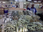 Աբու Դաբիի ձկան շուկան  քաղաքի հպարտությունն է 