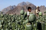 Աֆղանական պատերազմը ստուգում է ՆԱՏՕ-ի ամրությունը