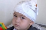Արմեն Մուրադյան. Երկու տարեկան Արծվիկի սաստող ու խոսուն հայացքը ուղղված է աշխարհին