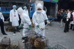 Չինաստանում կենդանիների վրա փորձարկում է կորոնավիրուսի պատվաստանյութը 