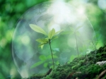 «Շրջակա միջավայրի վրա ազդեցության գնահատման մասին» օրինագծի հանրային քննարկում