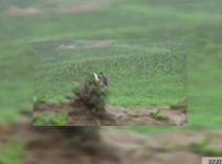 Դավիթ Բաբայան. Ադրբեջանական տեսանյութը բեմականացված է, հայ զինվորի համազգեստը՝ փոխված (տեսանյութը՝ «Ազատություն» ռադիոկայանի)