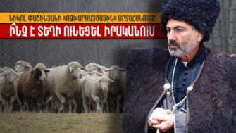 Եթե… ապա Հայաստանում ոչխարները մեծամասնություն կկազմեին