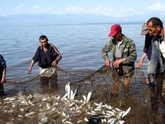 ...որ «թեթևացնեն հոգսը Սևանի»