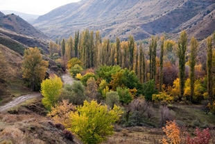 Խոսրովի արգելոցում կառուցվել է 8 կմ երկարությամբ ճանապարհ