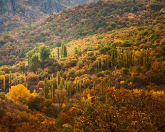 Խոսրովի արգելոցին իրական տեր է պետք